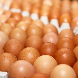 Ukrajinské vajíčka obsahujú prekročený limit nepovolených látok! Na hraničnej kontrolnej ... Ukrajinské vajíčka obsahujú prekročený limit nepovolených látok! Na hraničnej kontrolnej ...